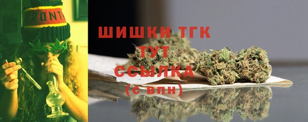 хмурый Армянск
