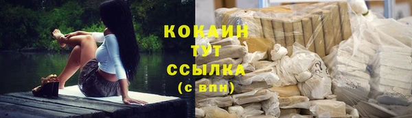 меф Арсеньев