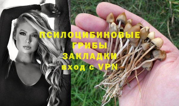хмурый Армянск