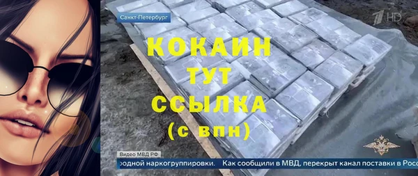 меф Арсеньев