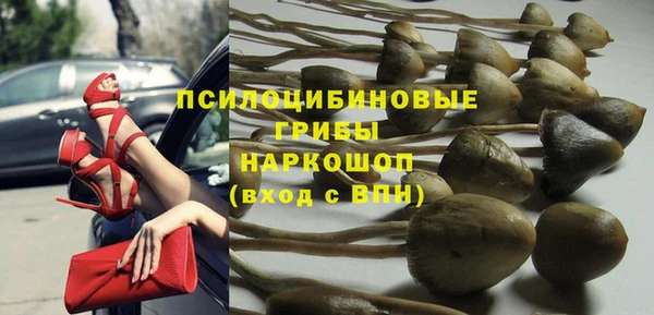сатива Аркадак