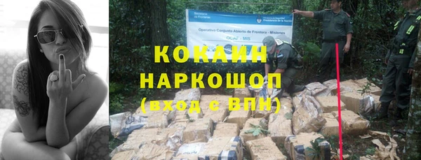 меф Арсеньев