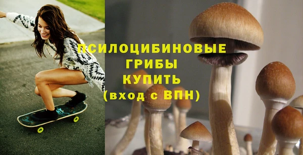 меф Арсеньев