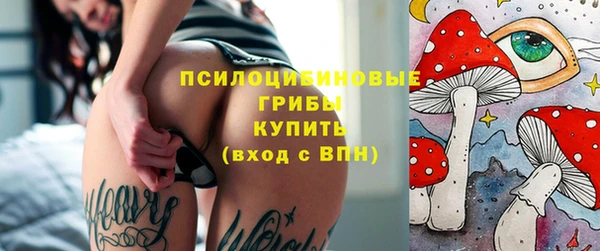 сатива Аркадак