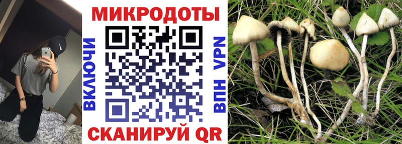 кракен   Крым  Галлюциногенные грибы Magic Shrooms  как найти наркотики 